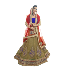 Triveni Fantastic Beige Colored Border Worked Net Jacquard Lehenga Choli